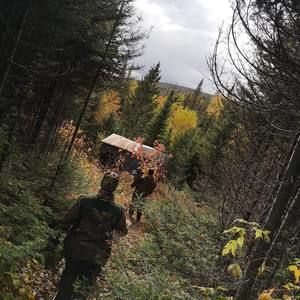 Meet your Posher, Vanessa